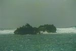 Tropic wreck