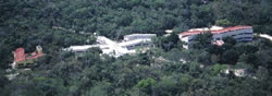 Zoological Museum