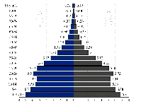 Demographical distribution