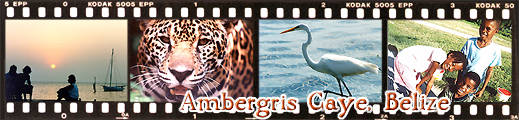 Ambergris Caye.com