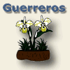 Click here to go to the Guerrerors pages