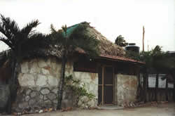 Conchitas