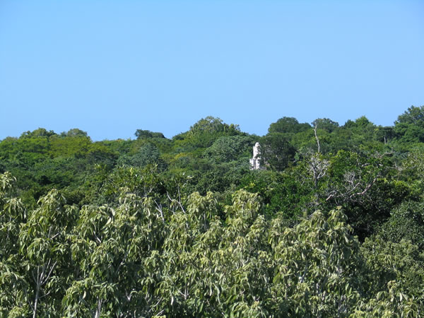 View from watchtower at Muyil