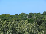 View from watchtower at Muyil