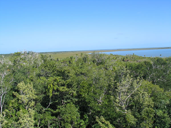 View at the lake at Muyil Muyil
