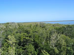 View at the lake at Muyil Muyil