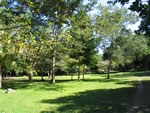 Garden at Muyil