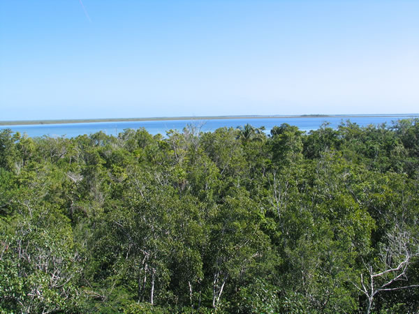 View to the lake at Muyil