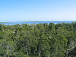 View to the lake at Muyil
