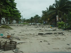 Hurricane Wilma