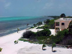 Reef house