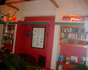 Evening Library -- in the Maya Familia