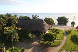 Maya Grill