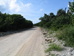 Xcalak - Majahual beach road repaired