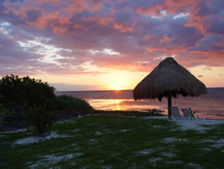 Our beach palapa